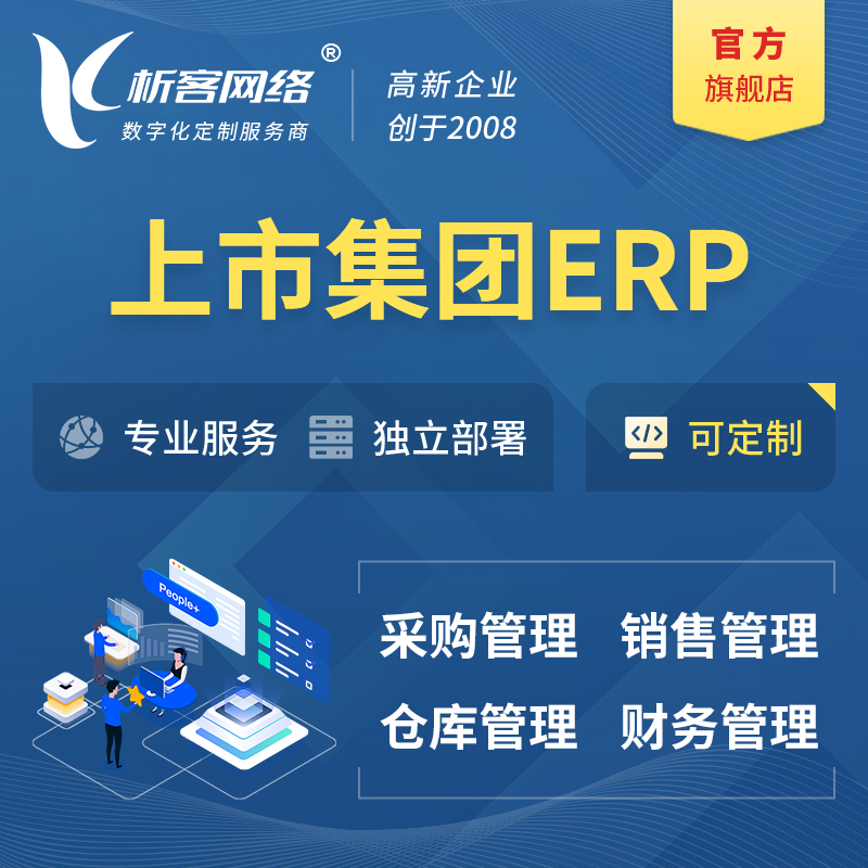 阜阳上市集团ERP软件生产MES车间管理系统